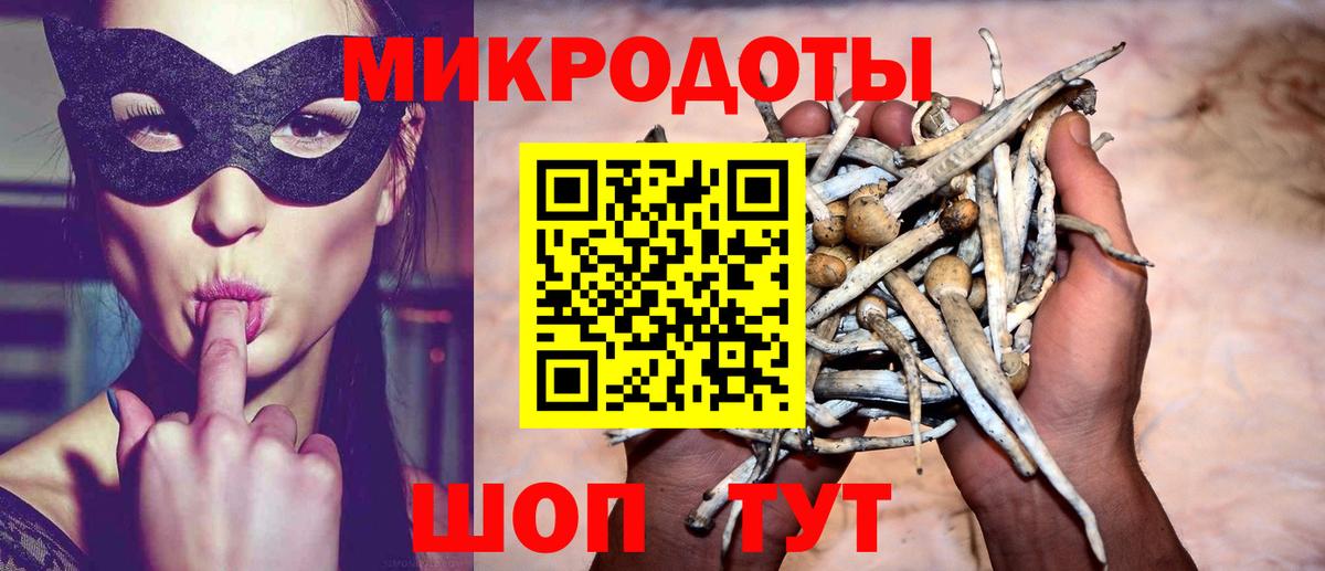 Псилоцибиновые грибы GOLDEN TEACHER  Галлюциногенные грибы Psilocybe  Вход с VPN  Алушта 